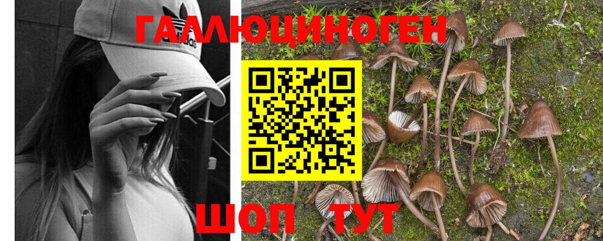 Дубна  Псилоцибиновые грибы Magic Shrooms  Вход с VPN 