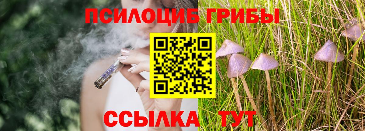 Кокаин Дубна